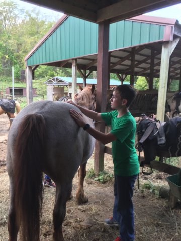 2017 Horseback Riding